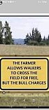 Funny Signs