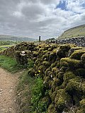 SVR Yorkshire Dales 2025